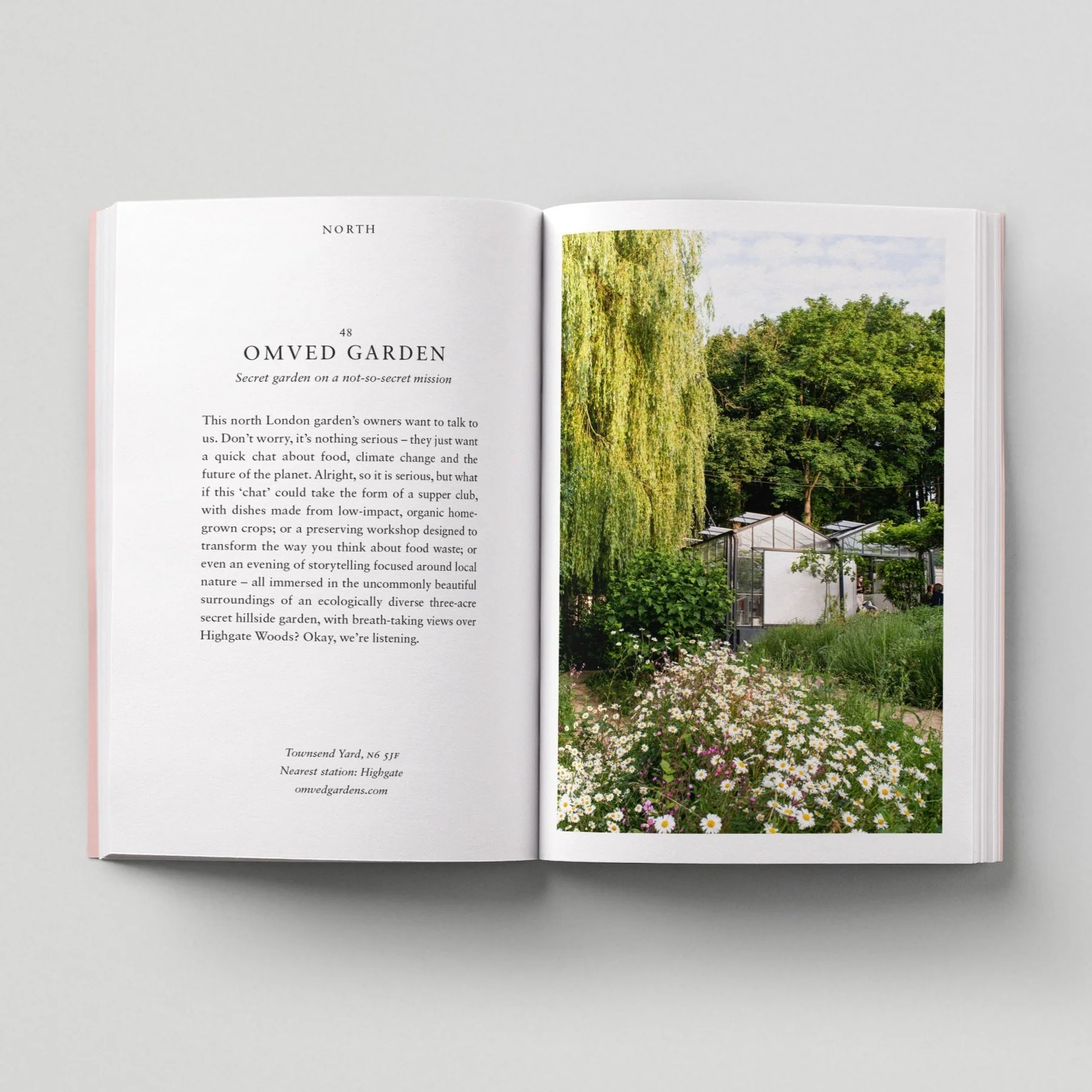 An Opinionated Guide to Eco London - Image 7