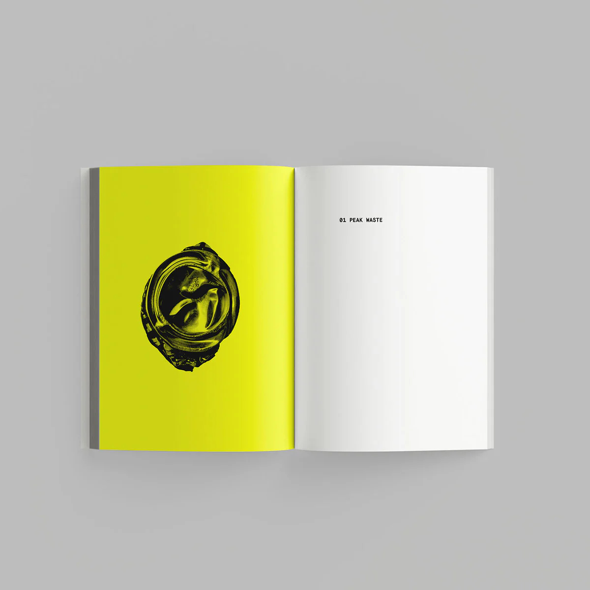 Waste Age: What can design do? Exhibition Catalogue - Image 3